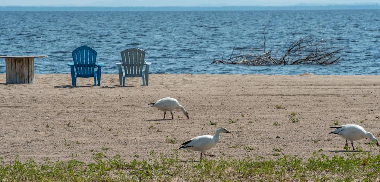 Domaine Sur Une Plage แซ็ง-เฟลีเซียง ภายนอก รูปภาพ